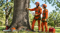 Arborist Load‑Bearing Harness with X- style Load Bearing Body Harness with Fall Protection & Spreader bar for Rappelling Spreader Bar & Adjustable tool lanyard.